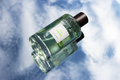 Les Senteurs Gourmandes Thé absolu 100ml eaux de parfum #Size_100ml